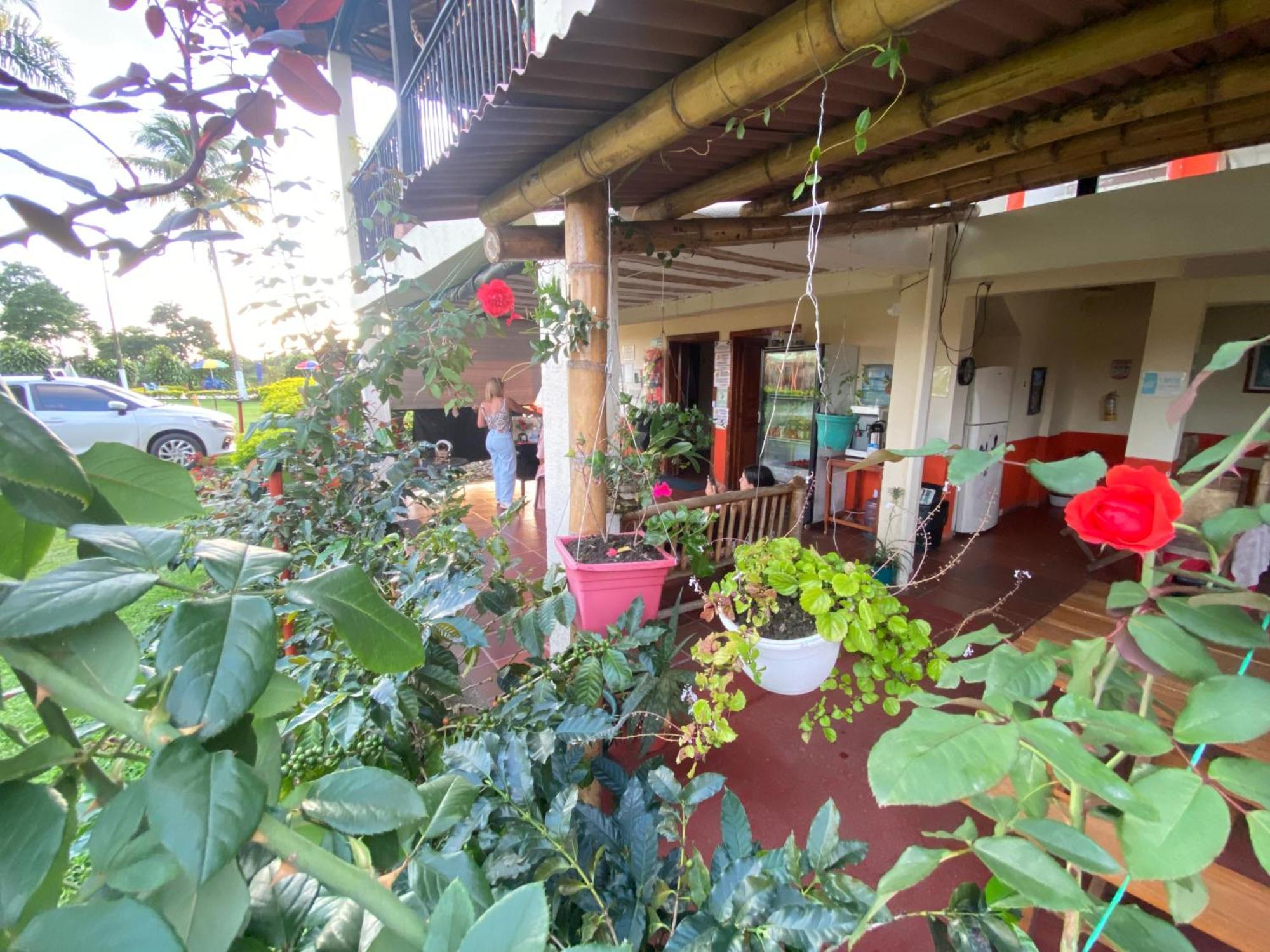 Finca Hotel Los Cocos Montenegro Eksteriør billede